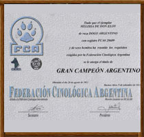 Dogos Argentinos La Vieja Candelaria